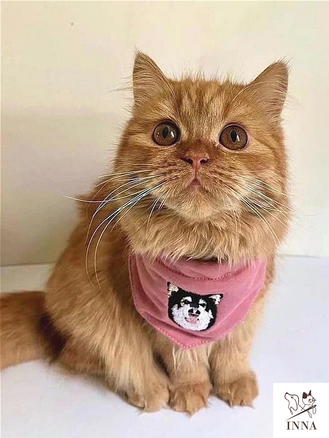 Furry Pets|Pet Scarves